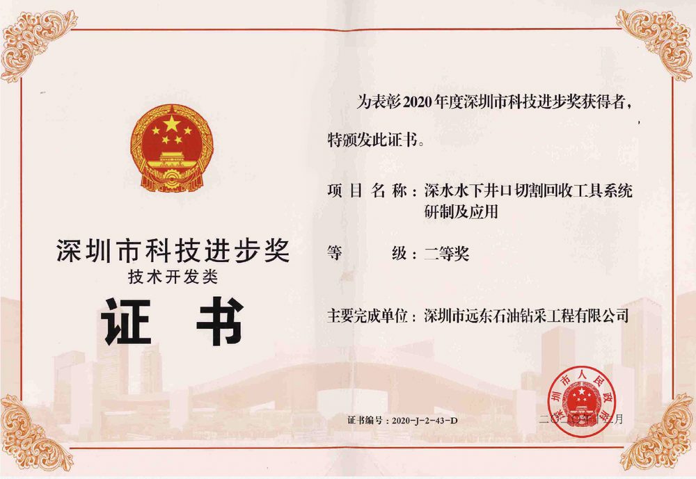 Shenzhen Science & Technology Award certificate