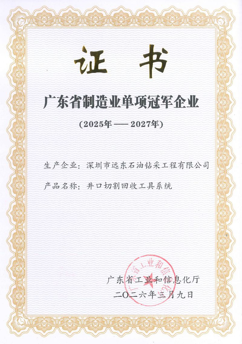 Manufacturing Champion Enterprise certificate