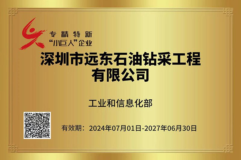 Specialized Little Giant Enterprise certificate