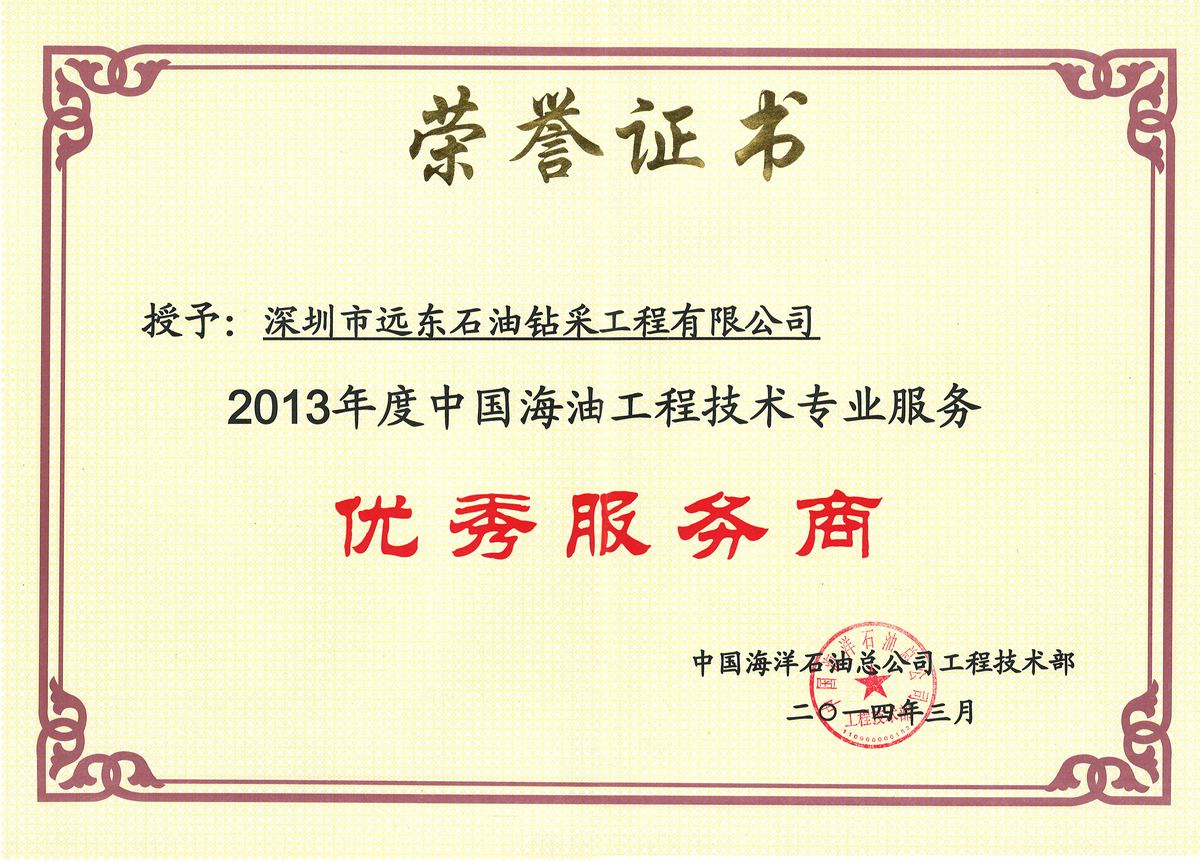 Outstanding Service Provider 2013